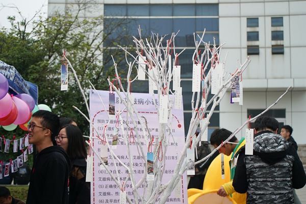 1543800203746031713.jpg DSC00706-18_副本.jpg