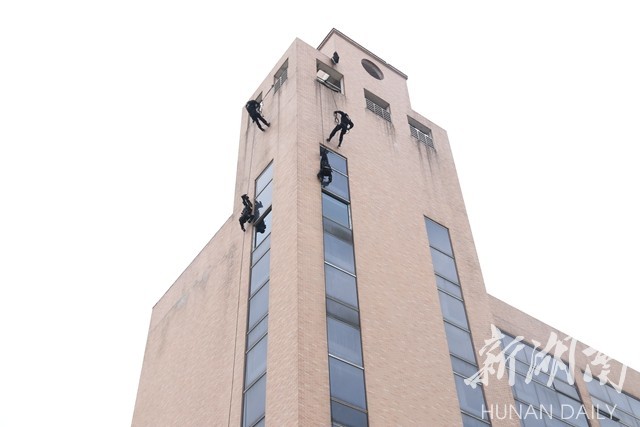 1484361925417039434.jpg 4.jpg