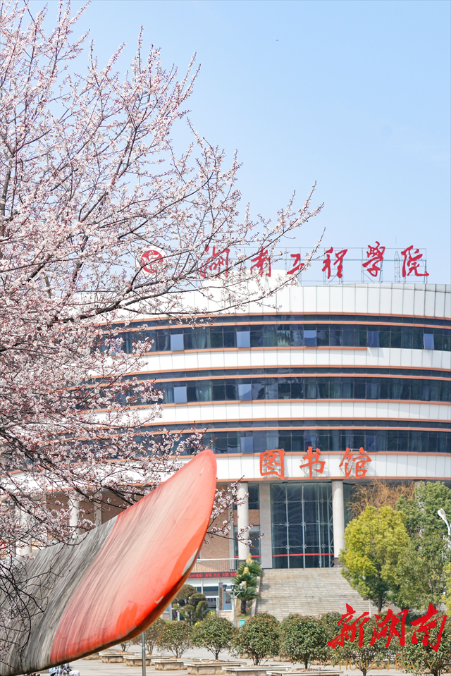 伟德bv1946官网紫叶李花开惹人醉