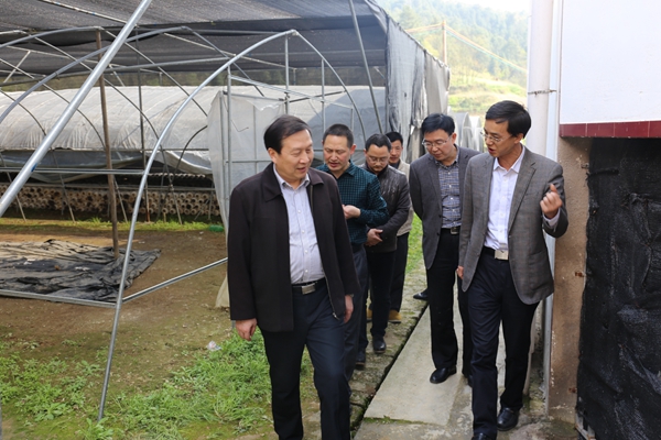 1459305469492000367.jpg 2_副本.jpg