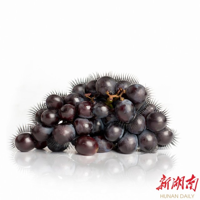 1491376967260064449.jpg 1491376967260064449.jpg