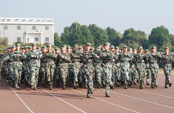 1602317389393069874.jpg 方阵1.jpg