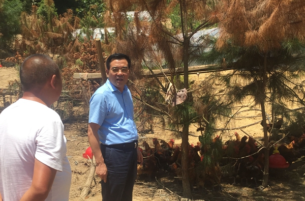 1565700409138094965.jpg 1.jpg