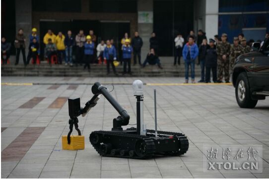 1484362638182029965.jpg 2.jpg