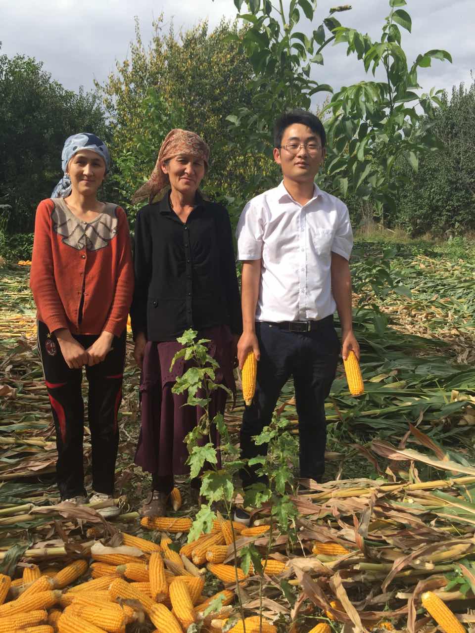 1515056060118044830.jpg 1515056060118044830.jpg