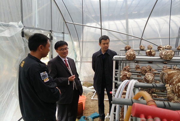 1477968930223093246.jpg C:UsersAdministratorDesktopIMG_20161028_132449.jpg