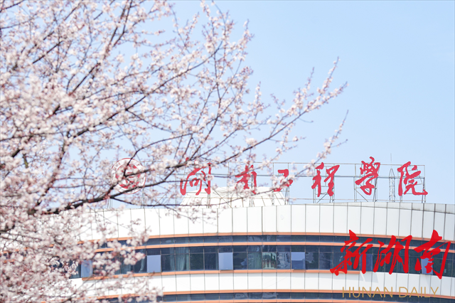 伟德bv1946官网紫叶李花开惹人醉