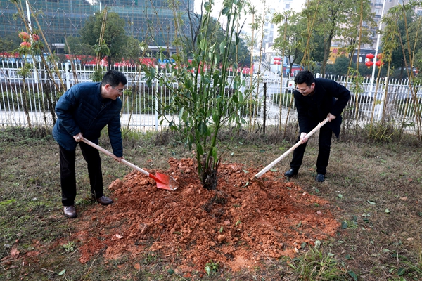 1552270708259013287.jpg 877A3818-wps图片_副本.jpg